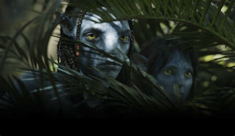 Movie theater information and online movie tickets. . Avatar showtimes near me